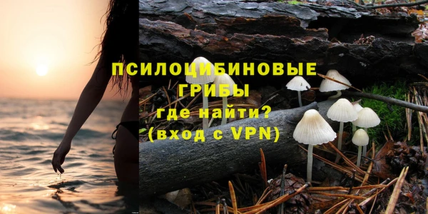 ALPHA PVP Алексеевка