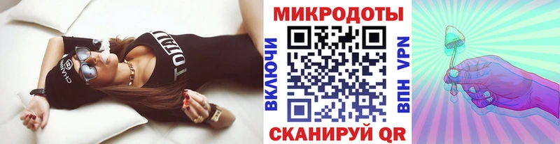 Псилоцибиновые грибы Psilocybe Павлово